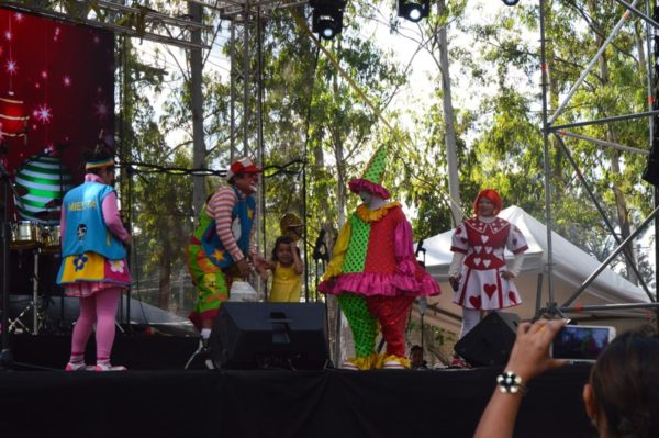 Payasos y Payasitas Profesionales Para Fiestas infantiles en Guatemala - Image 16